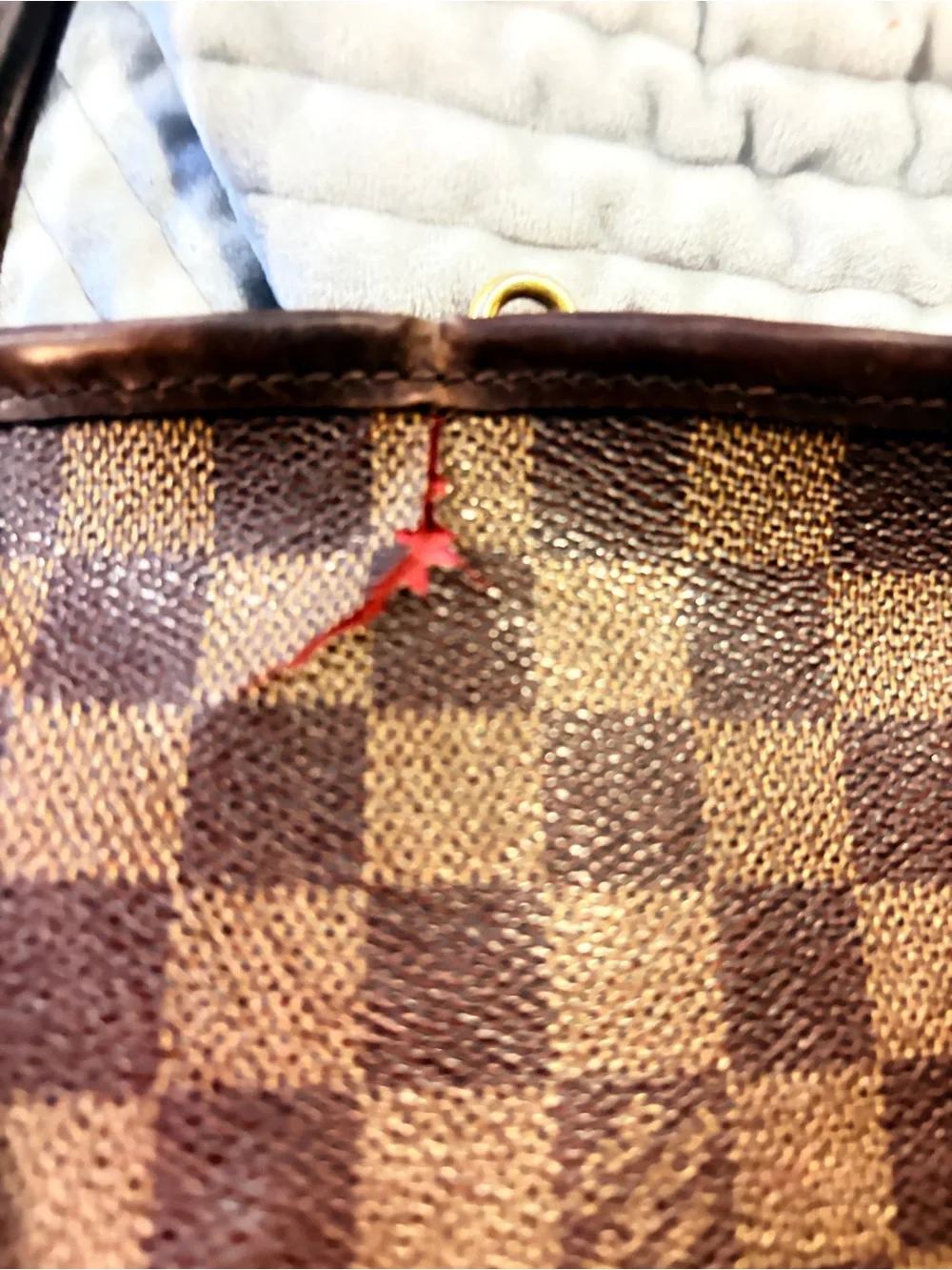 Louis Vuitton Neverfull.